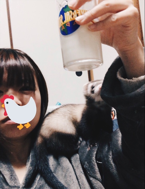 f:id:miminaga_alcea:20190308161450j:plain f:id:miminaga_alcea:20190308161450j:plain