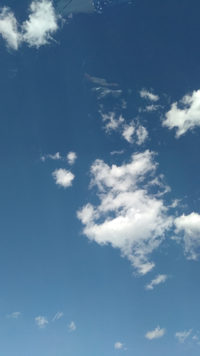 f:id:miminami5151:20200329060951j:plain