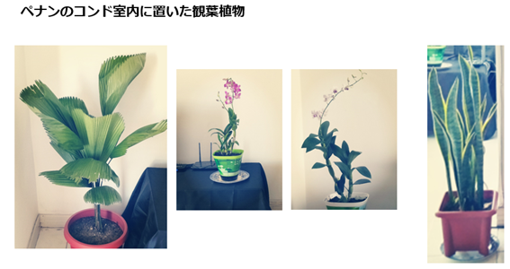f:id:mimiruby:20181013193107p:plain