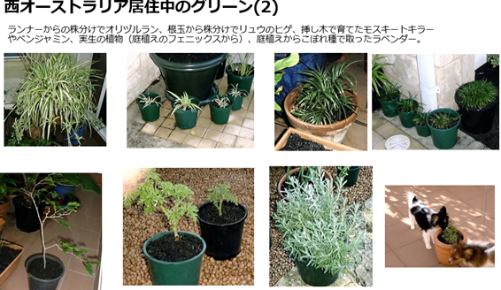f:id:mimiruby:20181013193324p:plain f:id:mimiruby:20181013193324p:plain