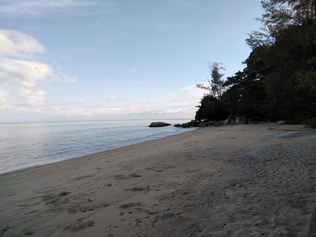 f:id:mimiruby:20181121121853j:plain