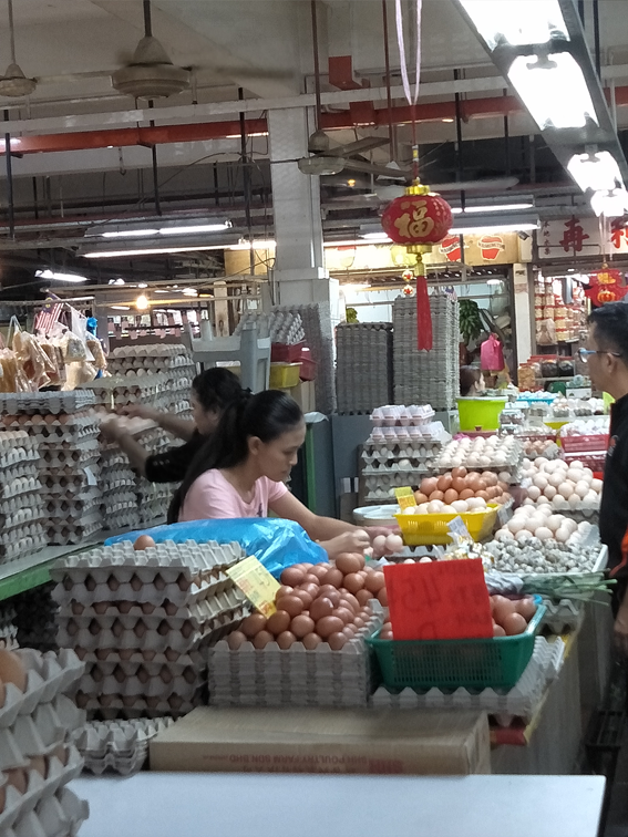 f:id:mimiruby:20190124174236p:plain f:id:mimiruby:20190124174236p:plain