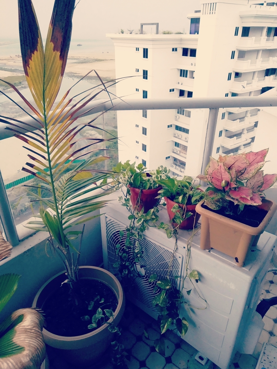 f:id:mimiruby:20191008195346j:plain f:id:mimiruby:20191008195346j:plain