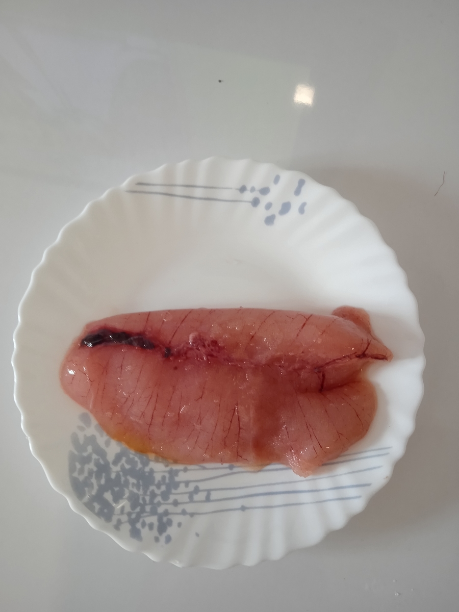 f:id:mimiruby:20200906145815j:plain f:id:mimiruby:20200906145815j:plain