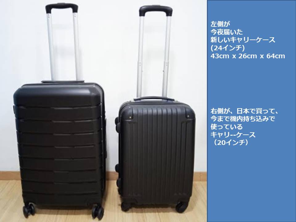 f:id:mimiruby:20210310004331j:plain