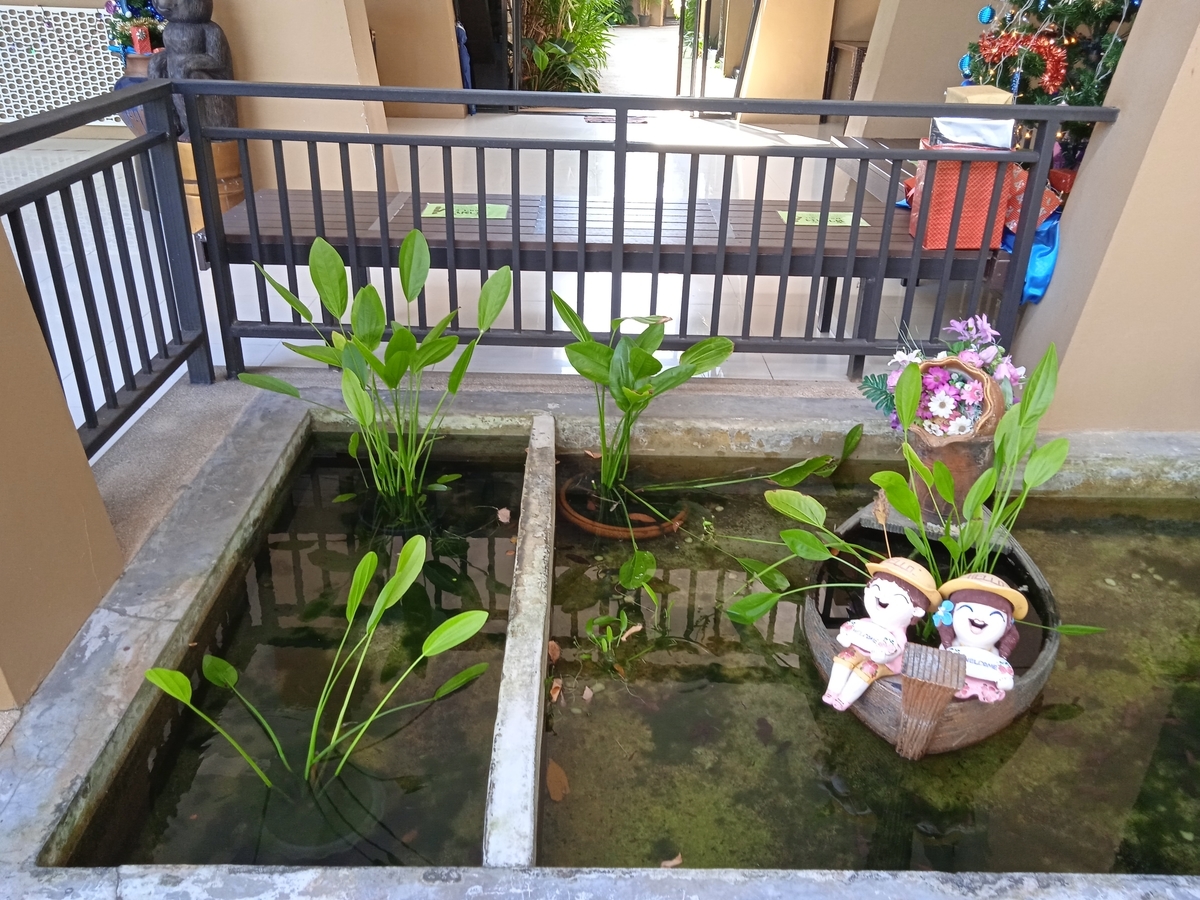 池