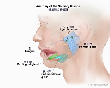 f:id:mimitotoro:20160713132326p:plain f:id:mimitotoro:20160713132326p:plain