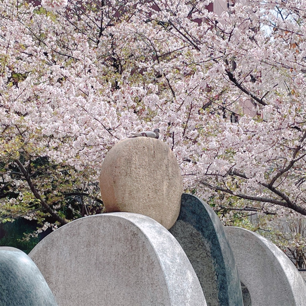 f:id:mimiura:20210529125701j:image f:id:mimiura:20210529125701j:image
