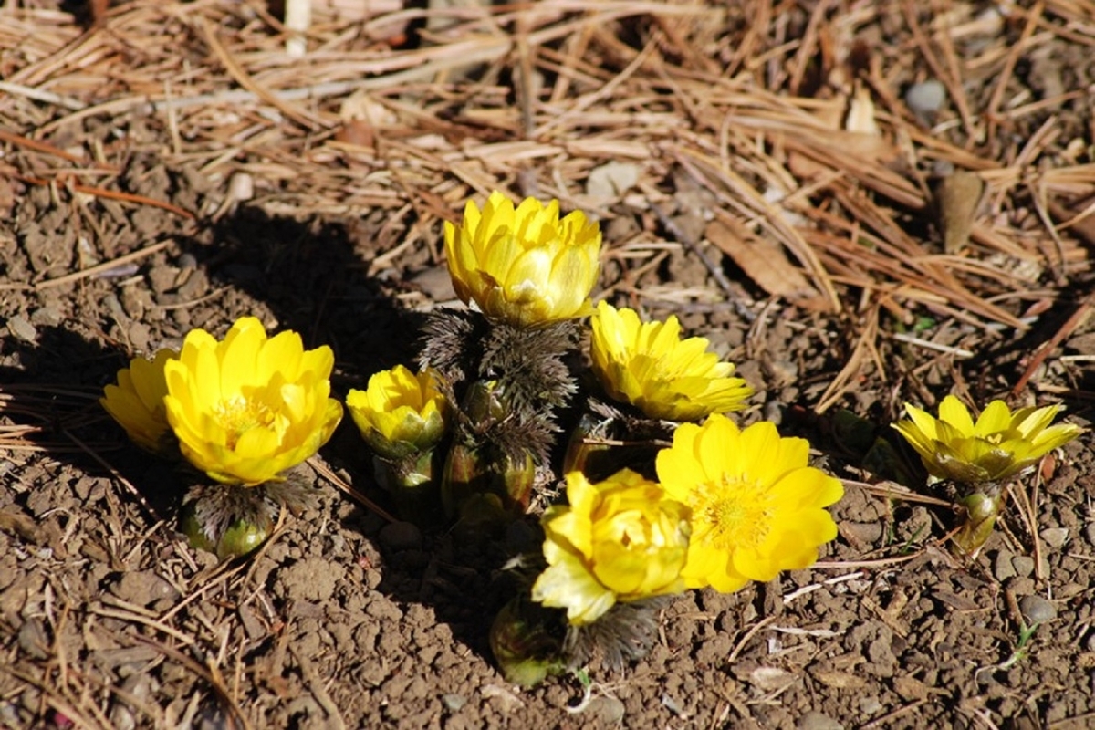 f:id:mimiyori_media:20200825103733j:plain