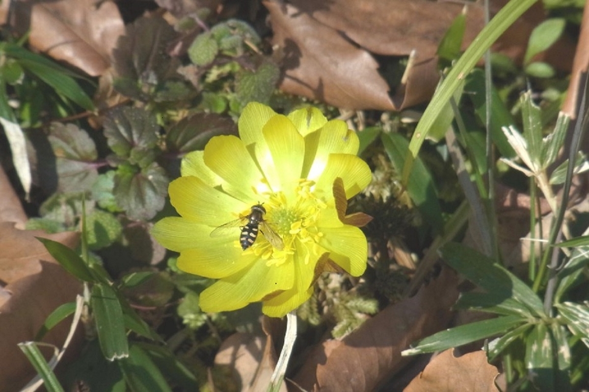 f:id:mimiyori_media:20200825103741j:plain