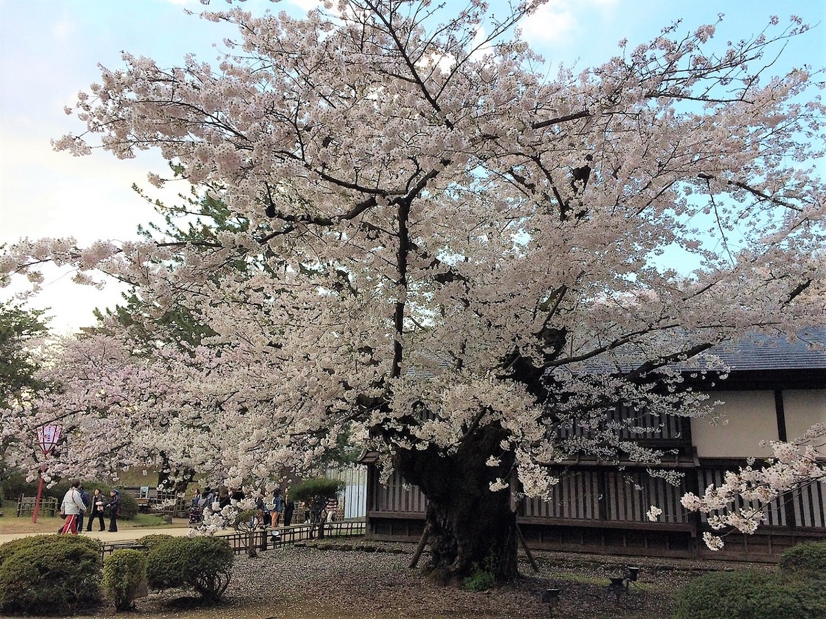 f:id:mimiyori_media:20200825104921j:plain