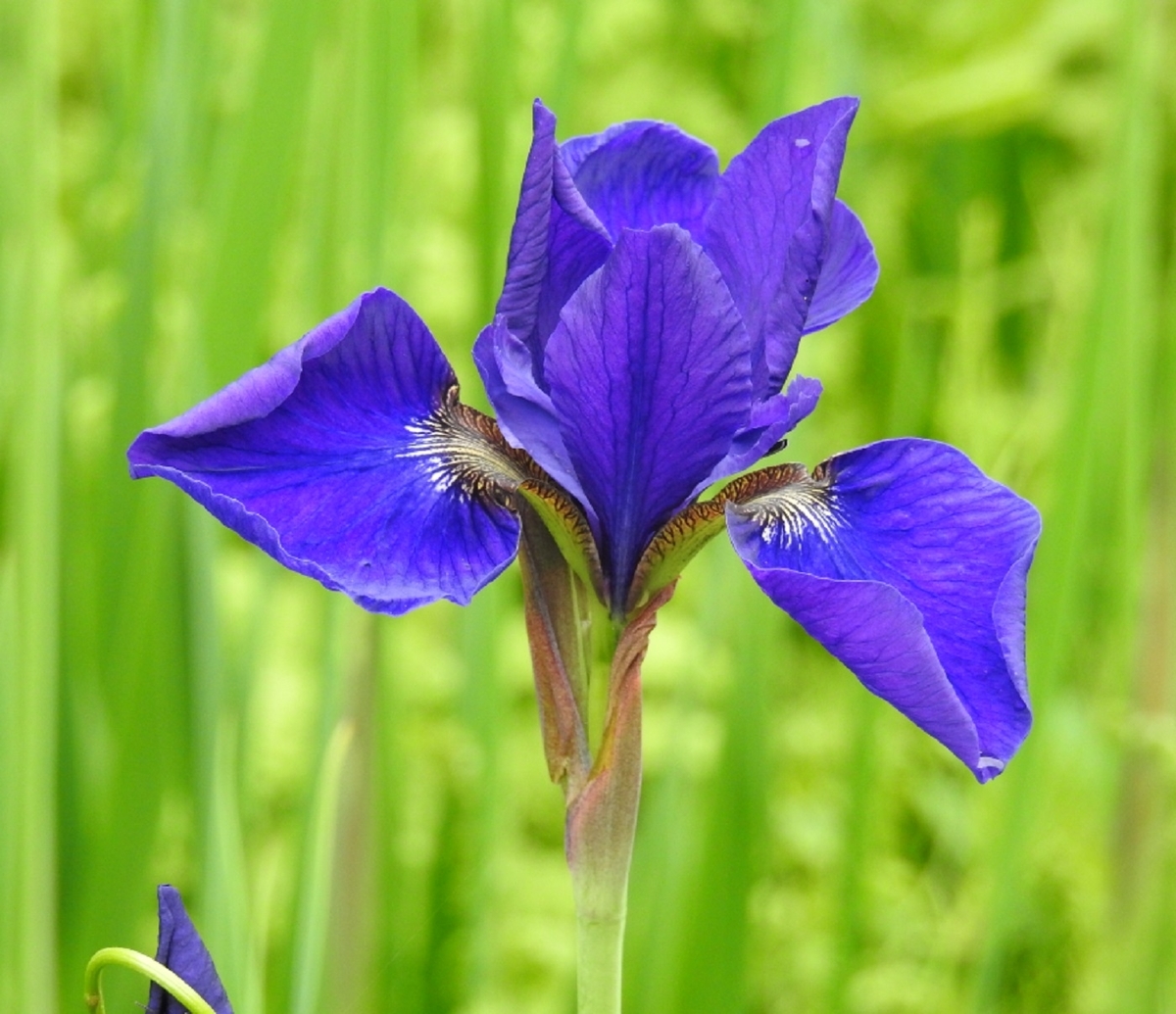 f:id:mimiyori_media:20200825115152j:plain