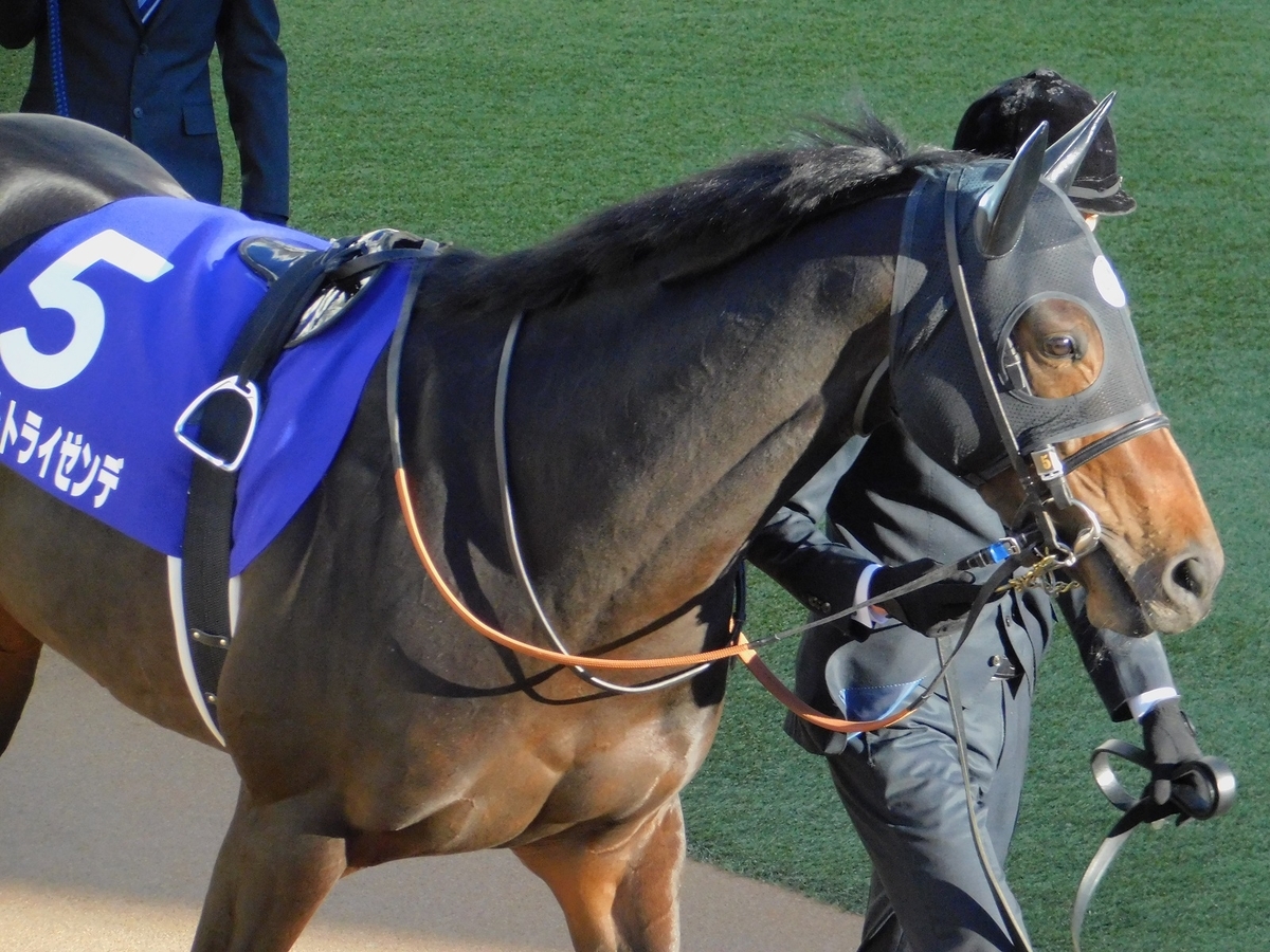 f:id:mimiyori_media:20200825120128j:plain