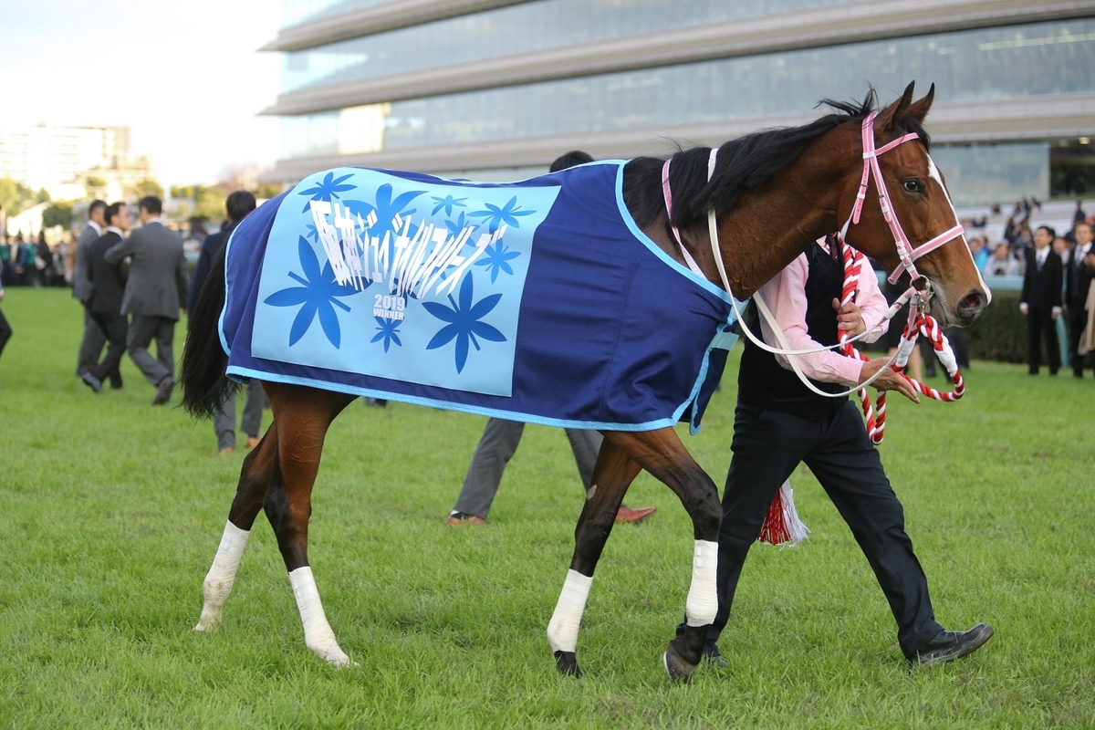 f:id:mimiyori_media:20200825120657j:plain