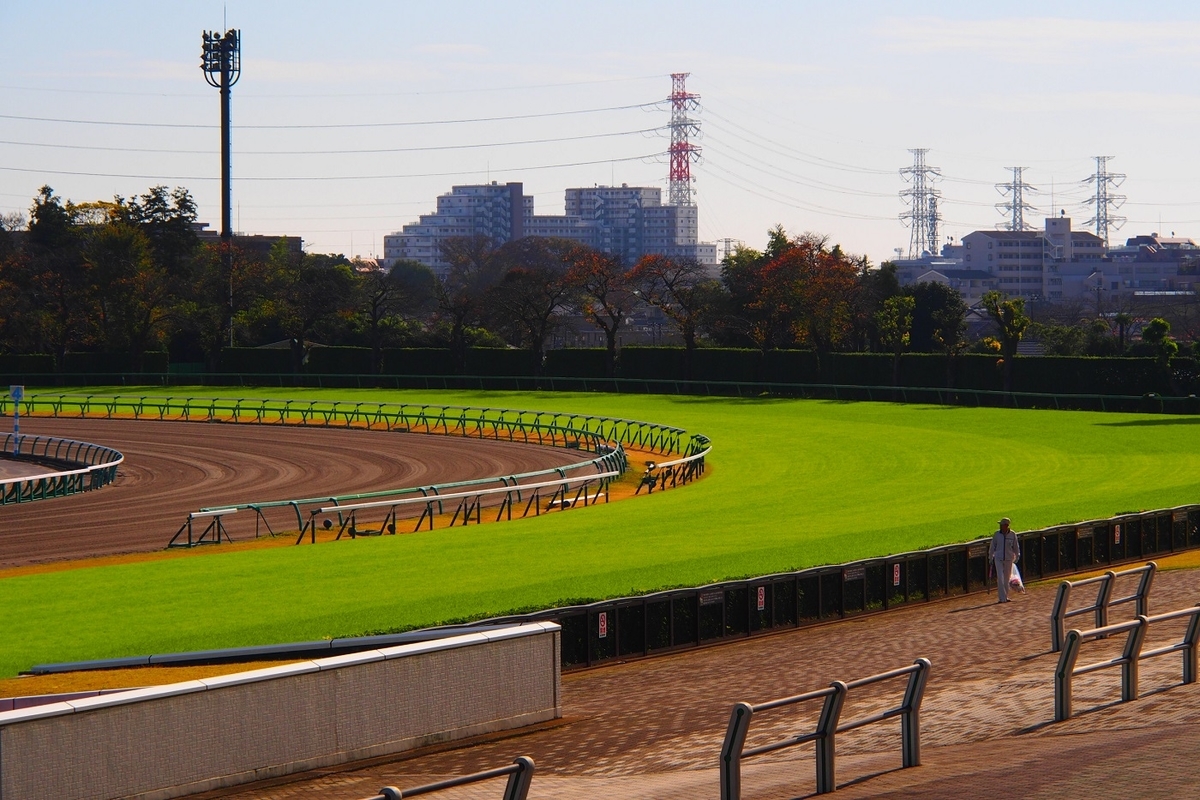 スプリンターズステークス,スプリンターズS,中山競馬場,中山競馬,競馬,keiba,グランアレグリア,モズスーパーフレア,ダノンスマッシュ