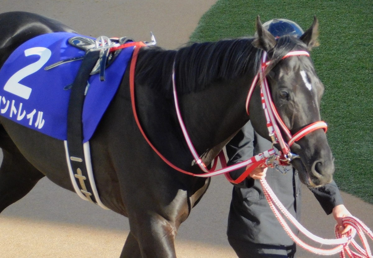 菊花賞,コントレイル,3冠,無敗3冠,無敗,競馬,keiba,クラシック,ディープインパクト