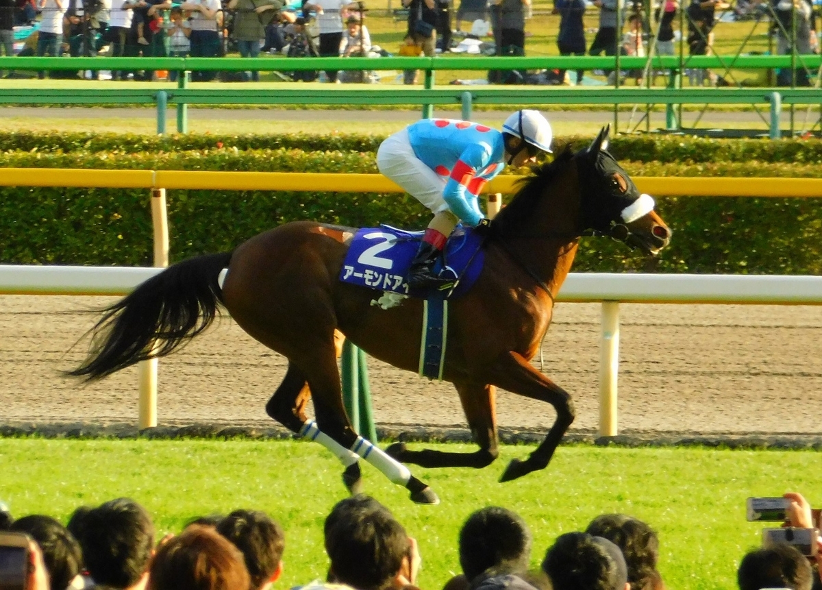 アーモンドアイ,天皇賞,天皇賞・秋,8冠,競馬,keiba