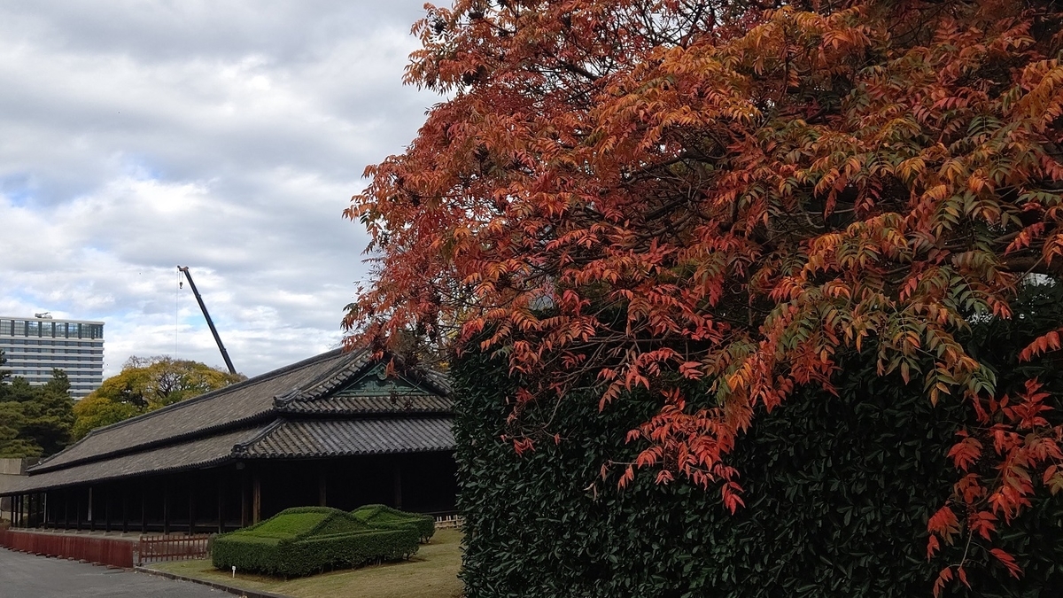 皇居東御苑　紅葉　百人番所　江戸城