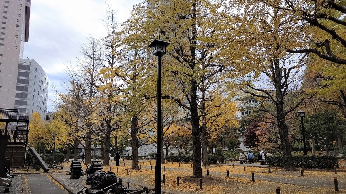 蔵前橋　隅田川　横網町公園　イチョウ　黄葉