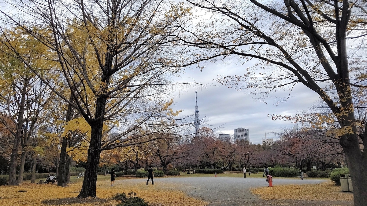 江東区　猿江恩賜公園　スカイツリー