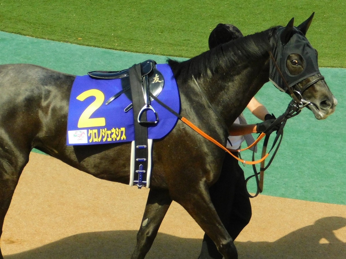 競馬,有馬記念,中山競馬場,有馬,クロノジェネシス,keiba