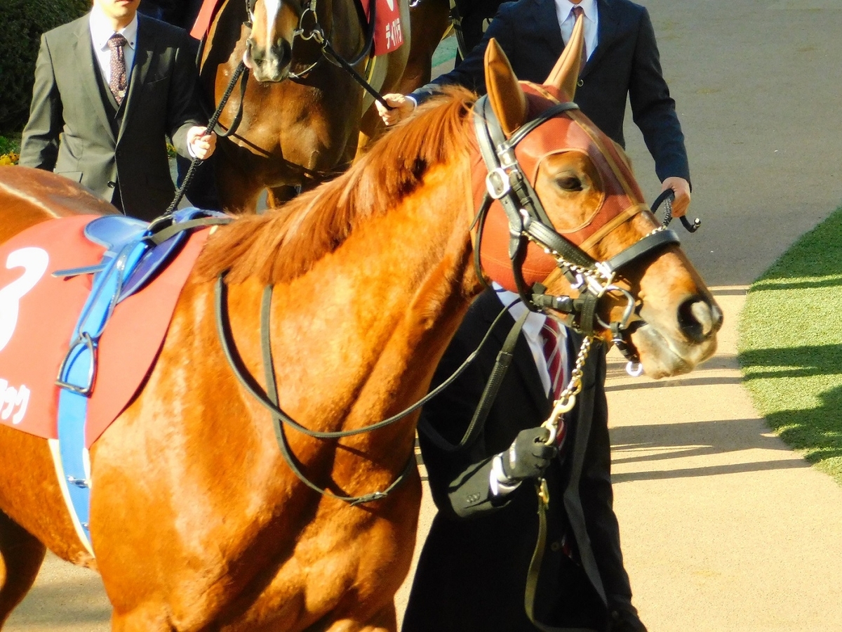 競馬,有馬記念,中山競馬場,有馬,ラッキーライラック,keiba