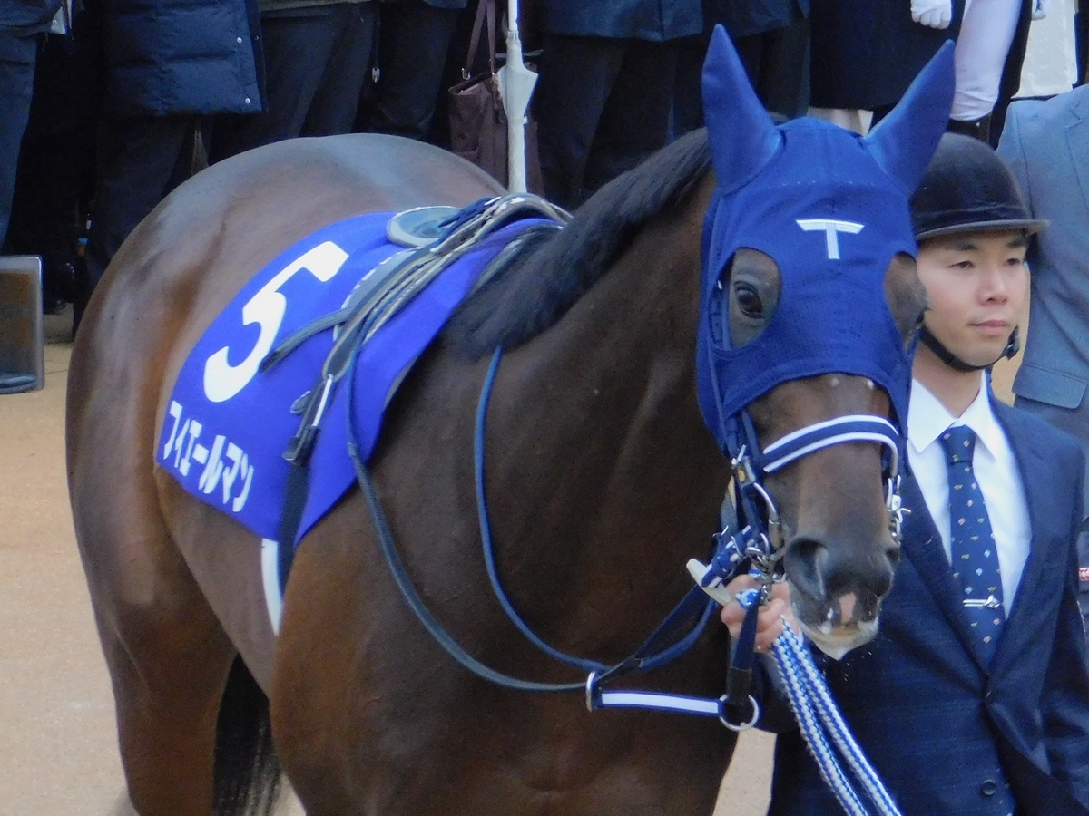 競馬,有馬記念,中山競馬場,有馬,フィエールマン,keiba