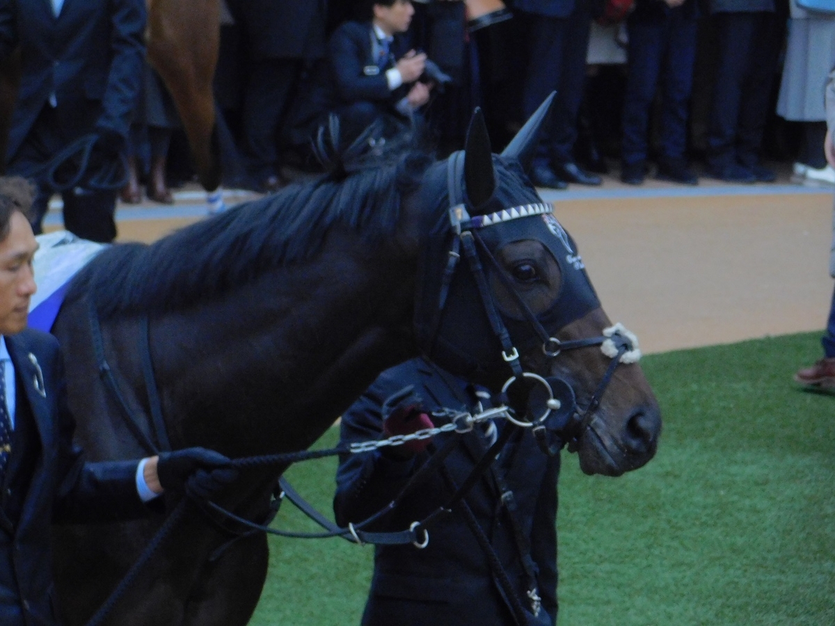 競馬,有馬記念,中山競馬場,有馬,ワールドプレミア,keiba