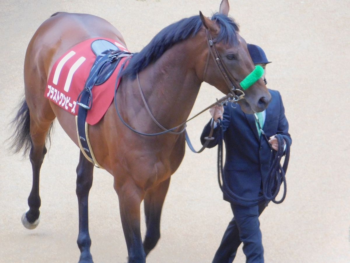  競馬,有馬記念,中山競馬場,有馬,ブラストワンピース,keiba