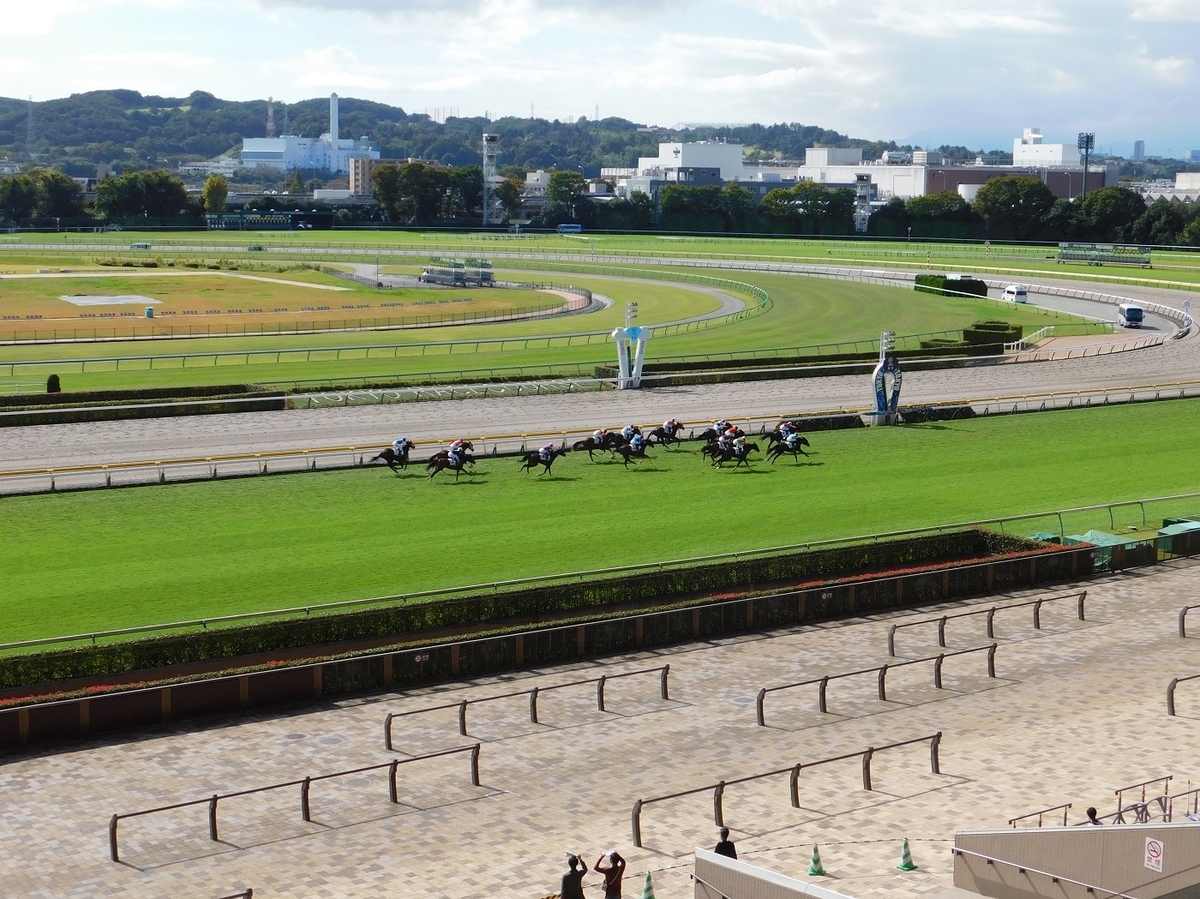 競馬,東京競馬場,keiba