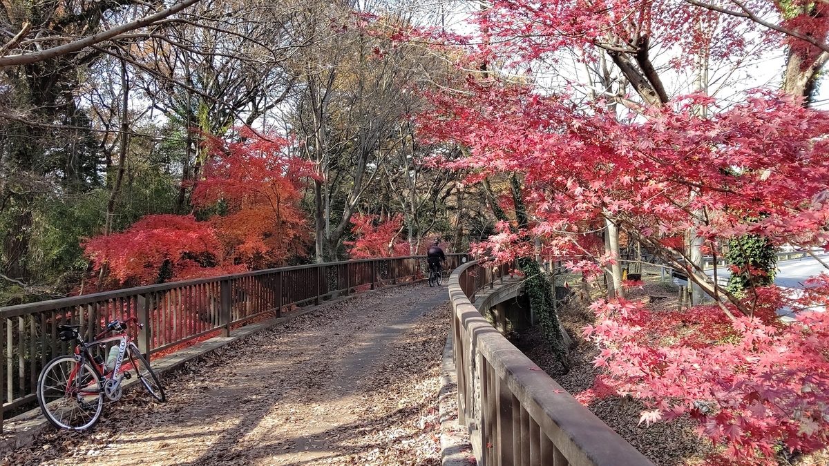 f:id:mimiyori_media:20210219102658j:plain