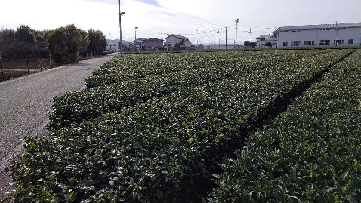 f:id:mimiyori_media:20210219103155j:plain