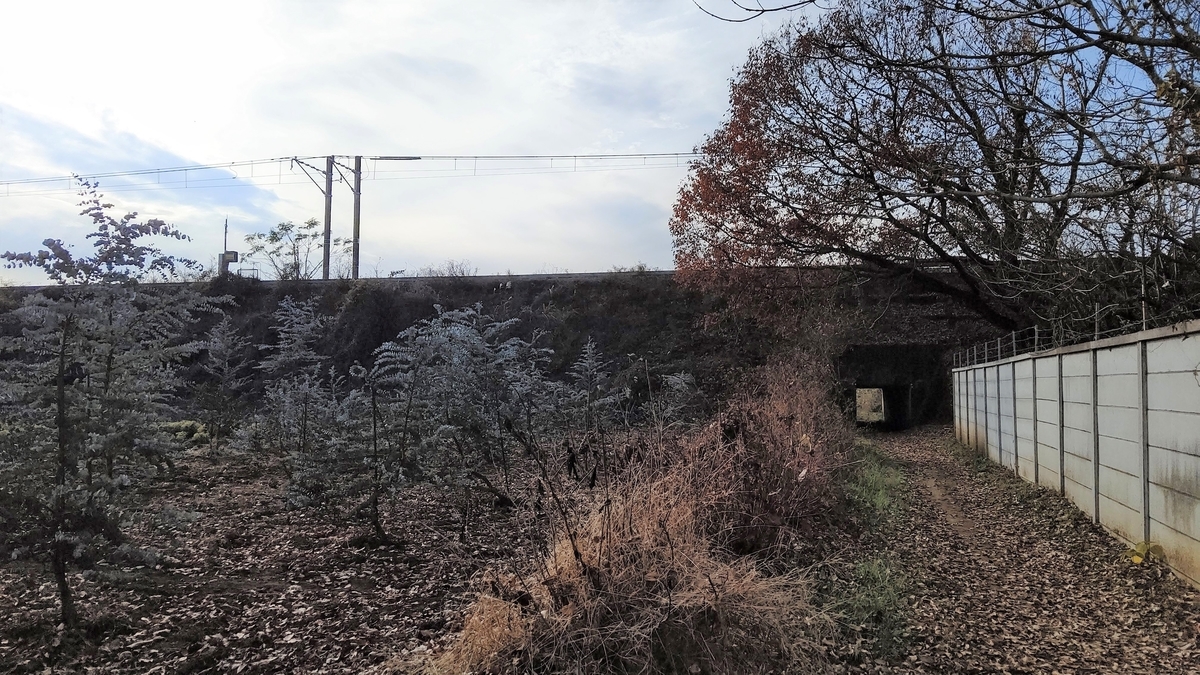 f:id:mimiyori_media:20210219103244j:plain