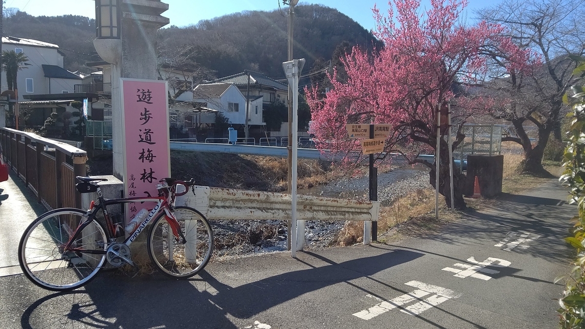 高尾梅郷　遊歩道梅林