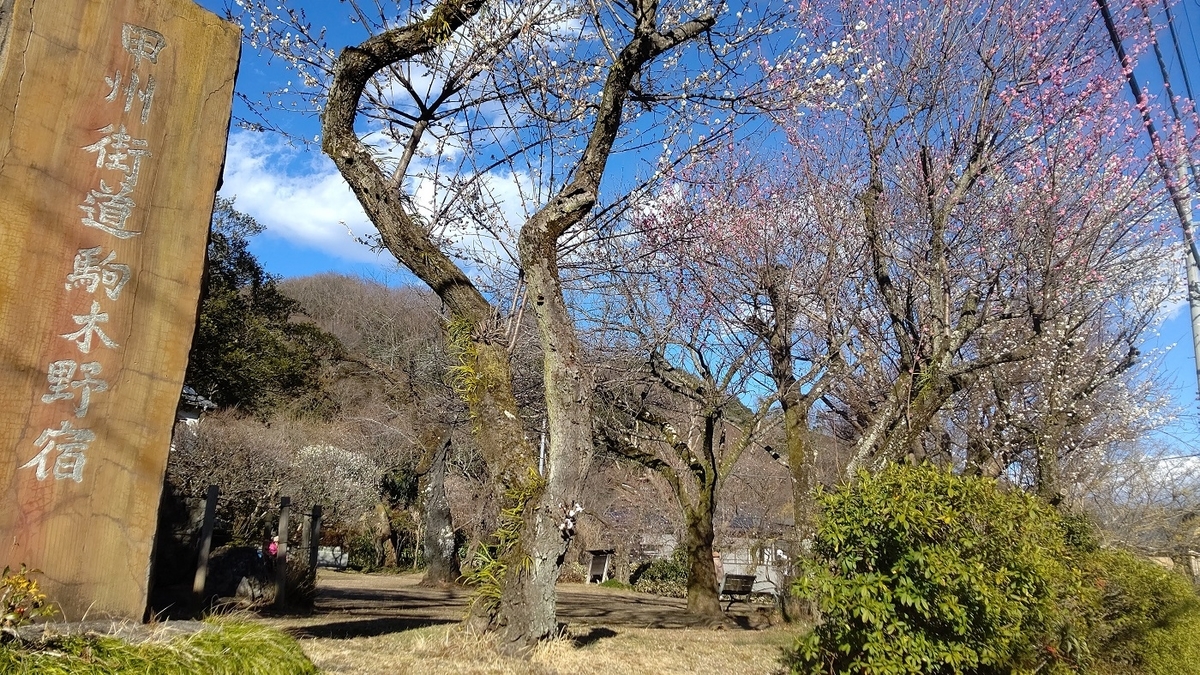 旧甲州街道　小仏関所跡・駒木野宿跡　関所梅林