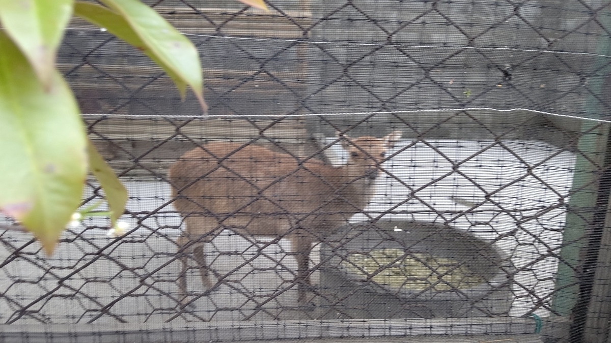 f:id:mimiyori_media:20210518130405j:plain