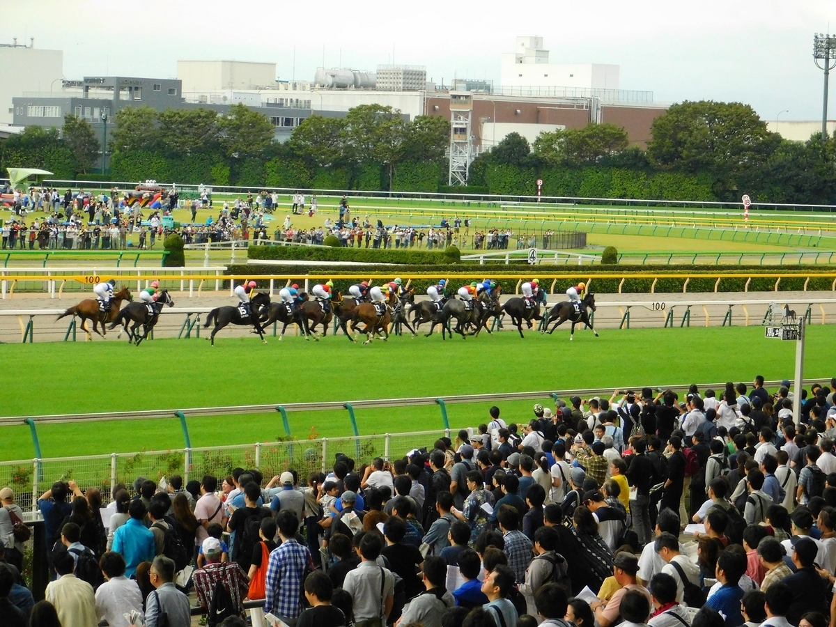 競馬,東京競馬場,keiba