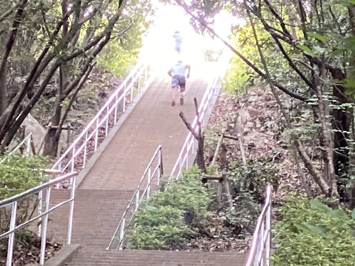 f:id:mimiyori_media:20210921124517j:plain