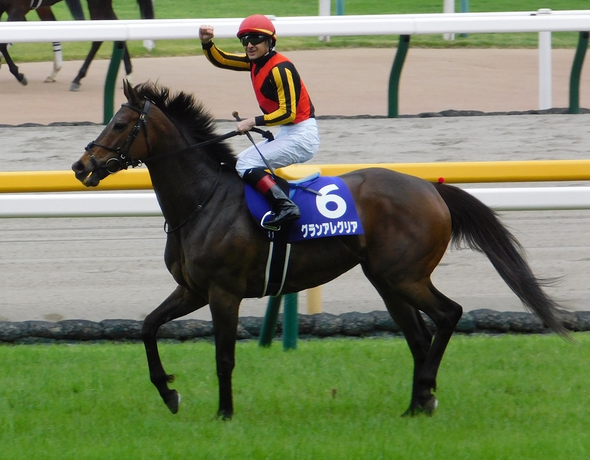 競馬,東京競馬場,グランアレグリア,ヴィクトリアマイル,天皇賞・秋,最強牝馬,keiba