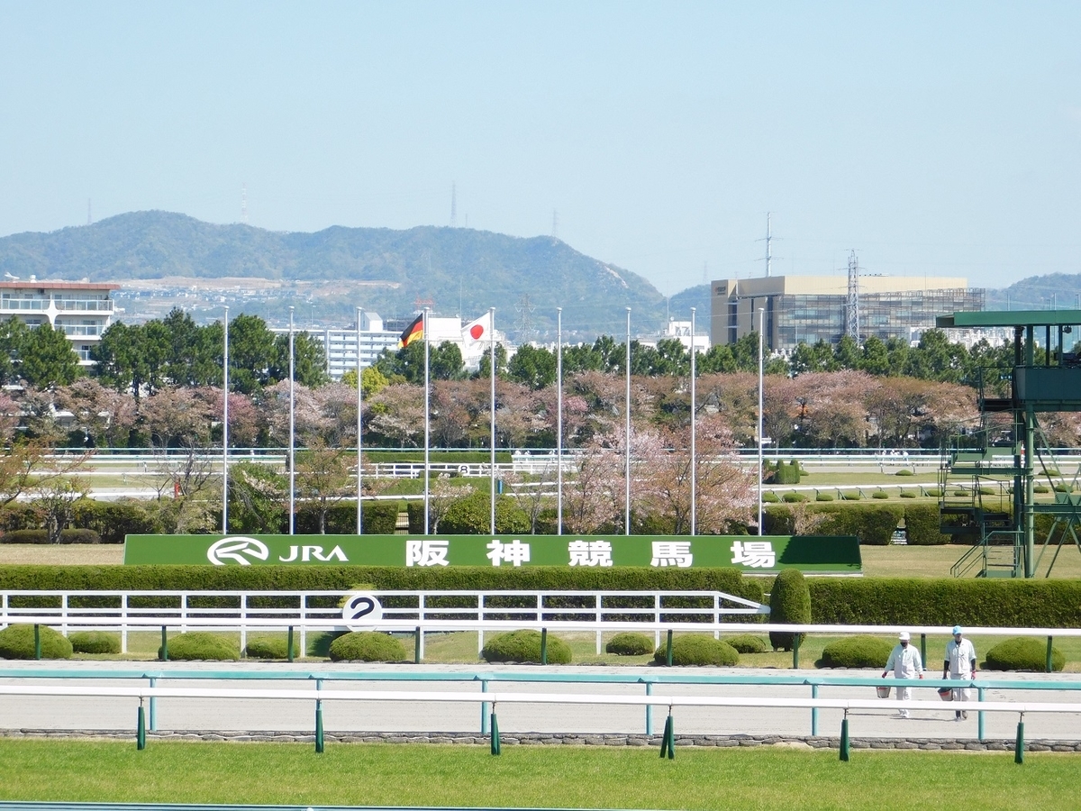 競馬,阪神競馬場,keiba