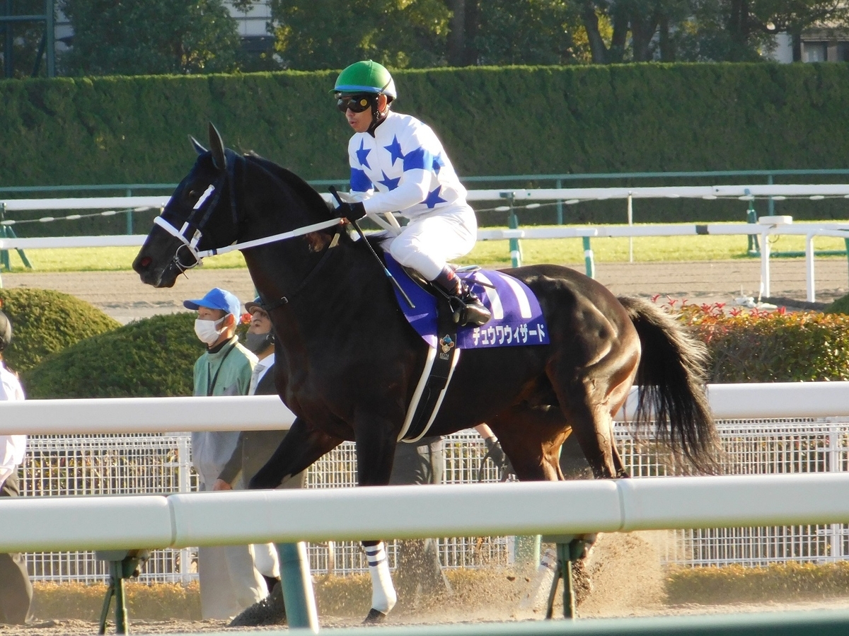 競馬,チャンピオンズカップ,チュウワウィザード,戸崎圭太,中京競馬場,keiba