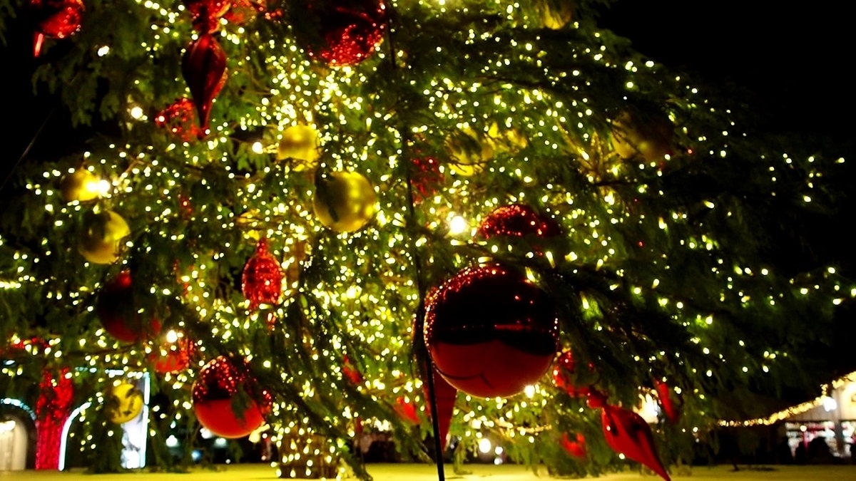 クリスマス クリぼっち 対策21前編 に集中すれば乗り切れる Webメディア Mimiyori