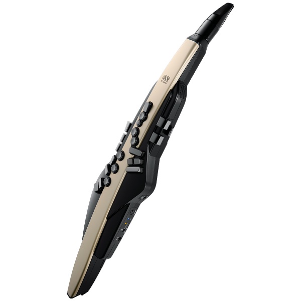 ローランド　デジタル管楽器　エアロフォン Amazon | ローランド Roland/AEROPHONE AE-20 エアロフォン 電子