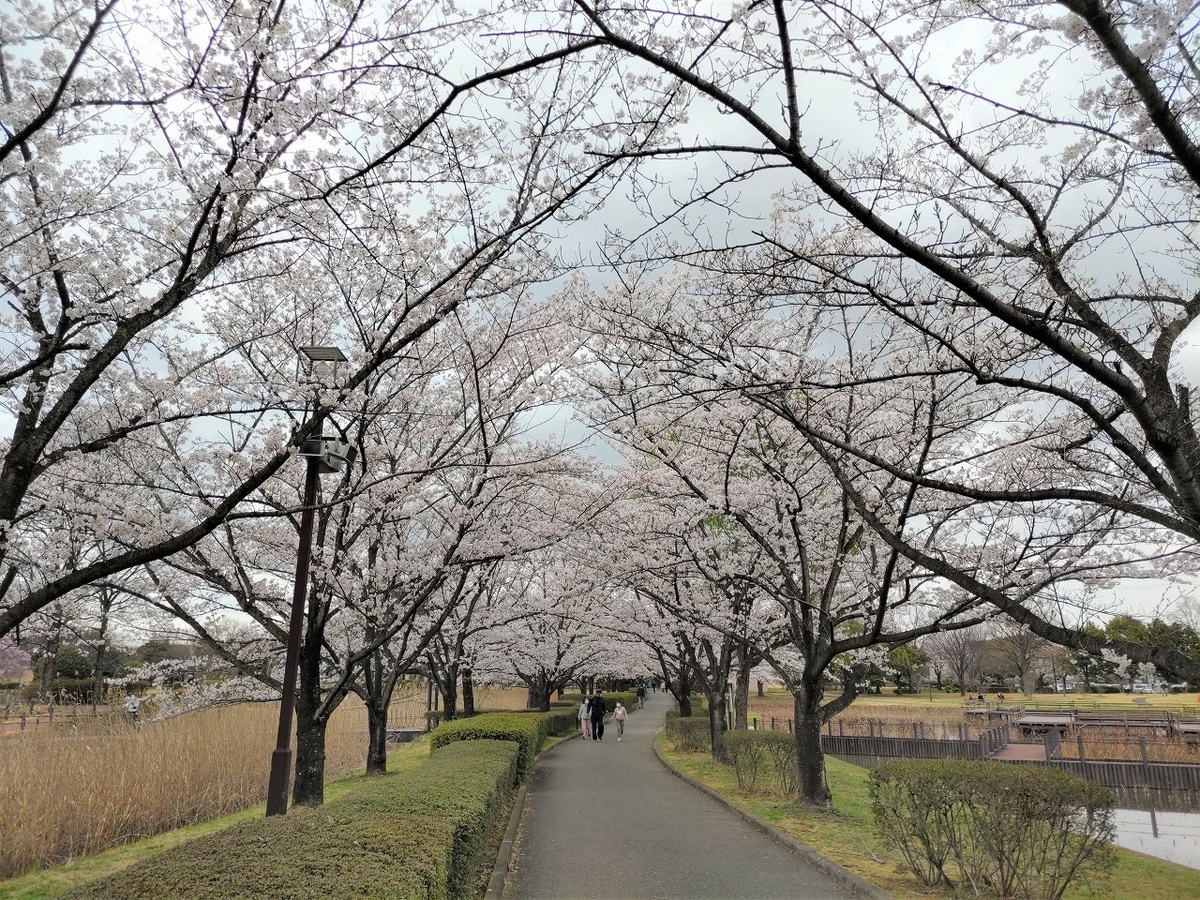 f:id:mimiyori_media:20220407113251j:plain