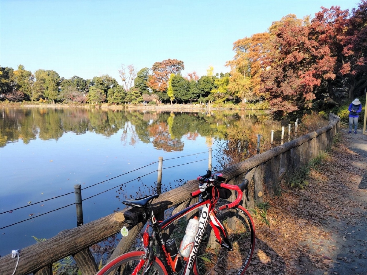 善福寺公園