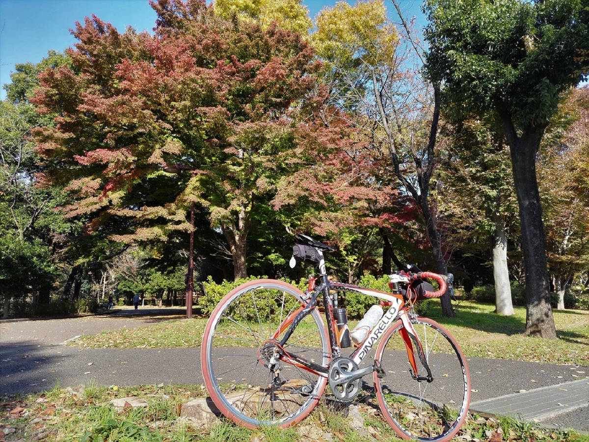 大泉中央公園