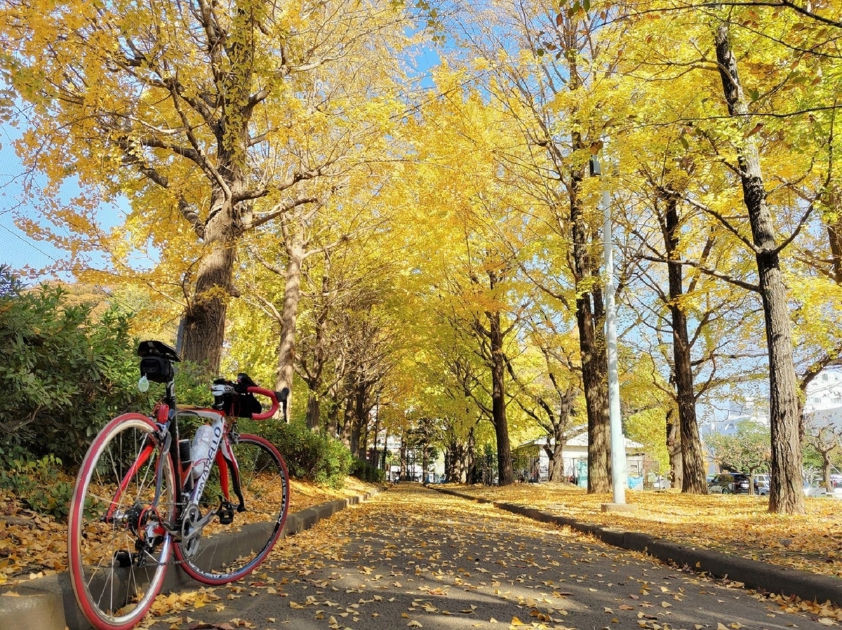 赤塚公園