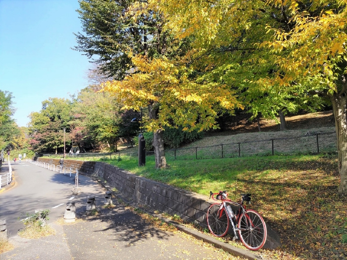 戸山公園