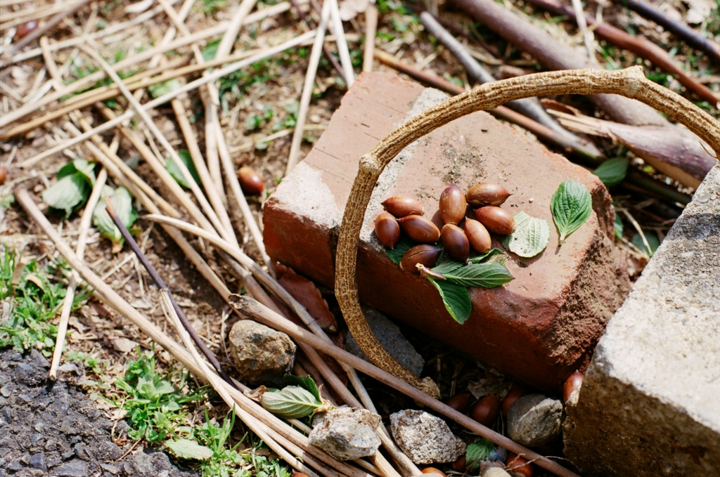 f:id:mimolog777:20170216145836j:plain