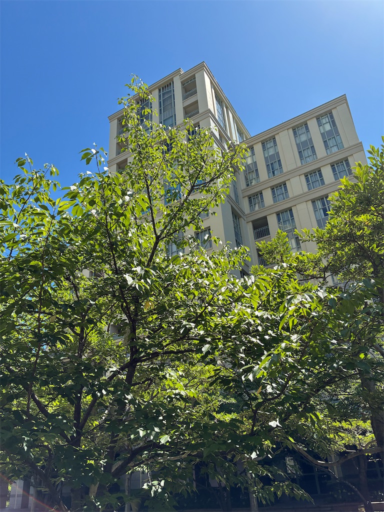 f:id:mimonsha:20250720135930j:image